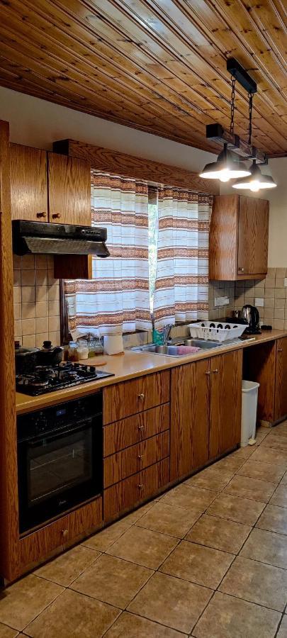 Το Σπίτι Του Προκόπη Villa Никозия Екстериор снимка